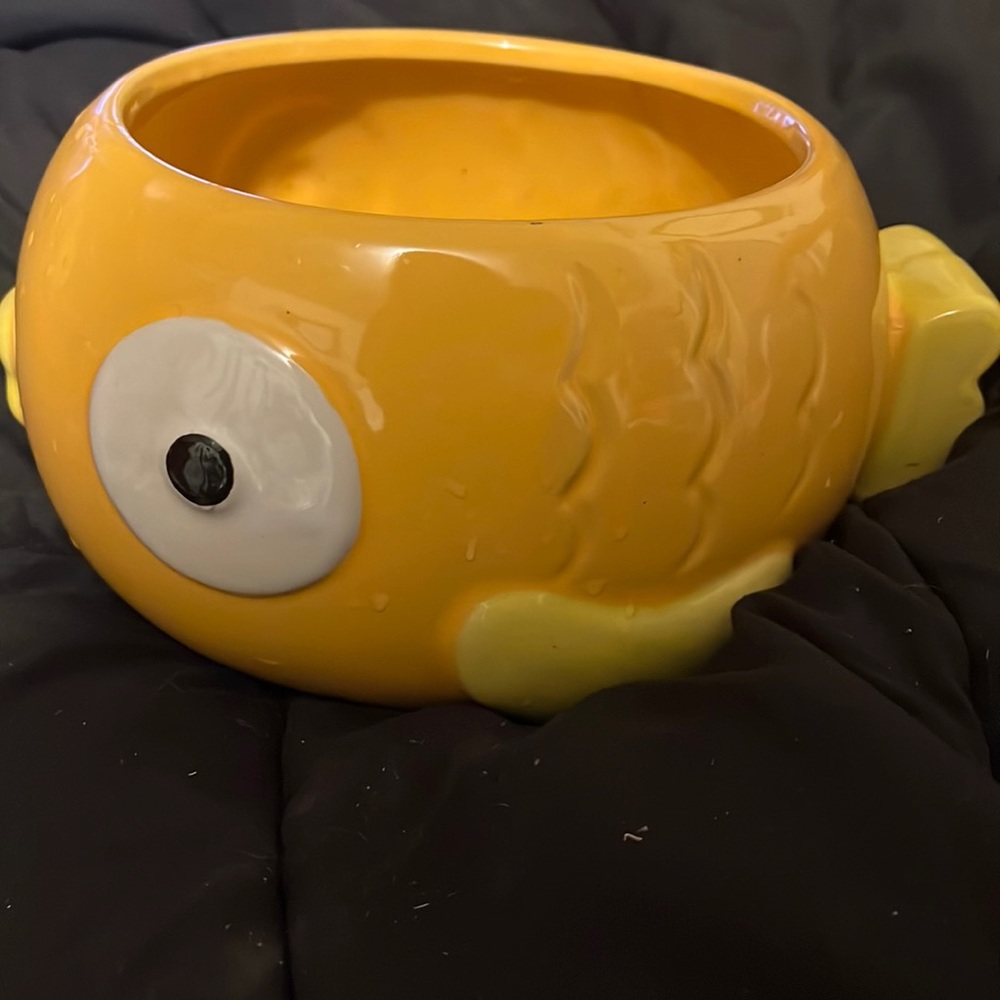 Gold fish plant pot